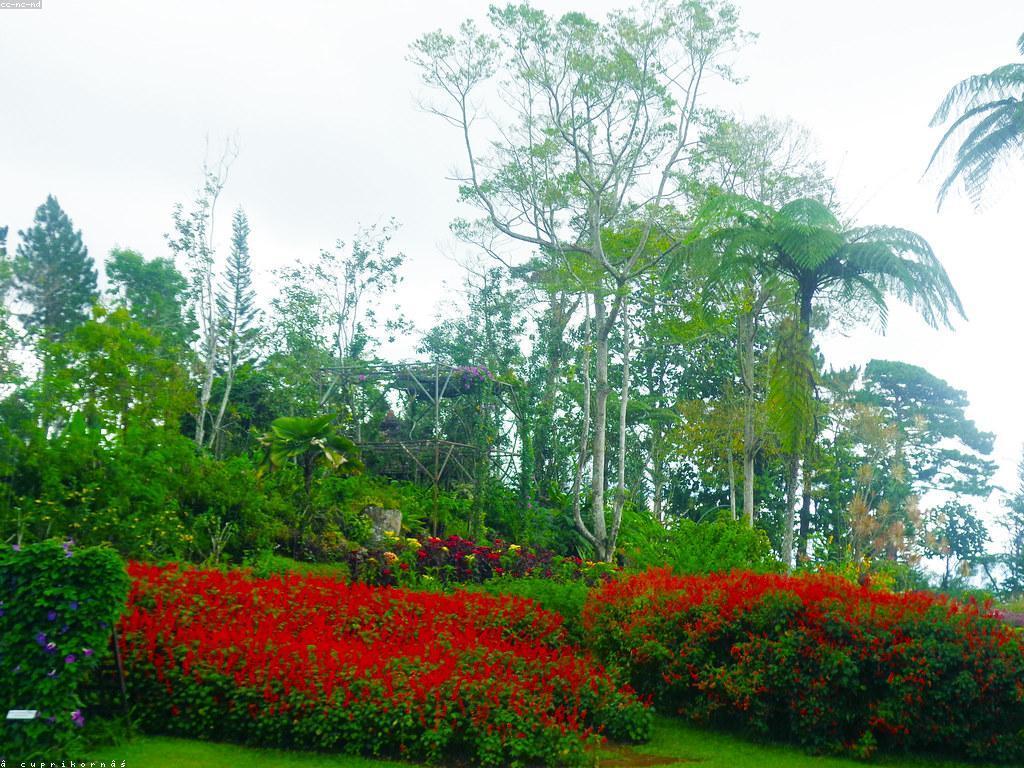 អត្ថប្រយោជន៍នៃការបង្ហោះ