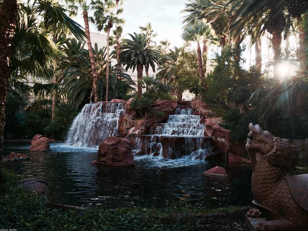 ល្បែងកាស៊ីណូពេញនិយម៖ ស្វែងយល់អំពីការលេង និងអត្ថប្រយោជន៍