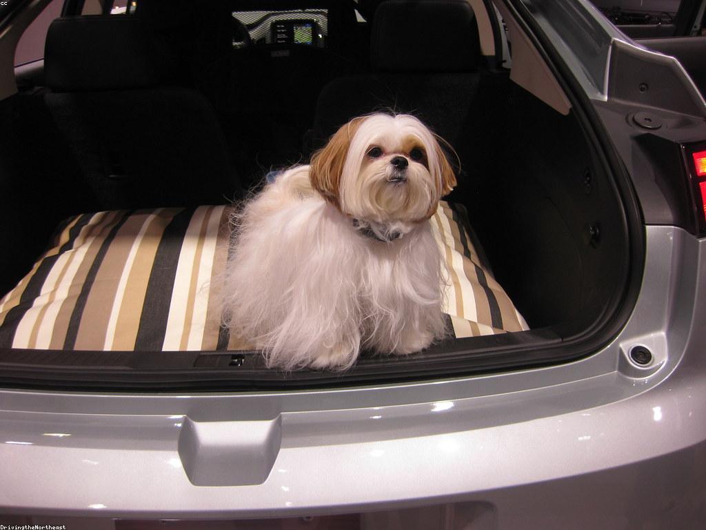 គន្លឹះសុវត្ថិភាពសម្រាប់ជីវិតប្រចាំថ្ងៃ