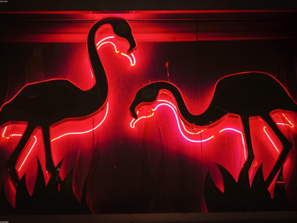 ការប្រើប្រាស់បច្ចេកវិទ្យាសម្រាប់ការបង្ហោះកាស៊ីណូ