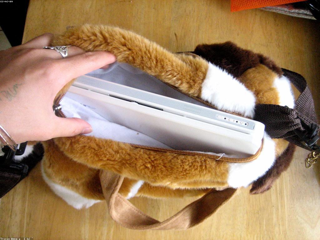 ការប្រើប្រាស់បច្ចេកវិទ្យា៖ ការវិវត្តន៍និងអនាគត